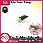Mainan Edukasi Robot Replika Belalang Serangga Solar Energy