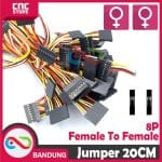 CABLE DUPONT LINE FEMALE TO FEMALE 8P