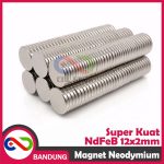 MAGNET NEODYMIUM NDFEB BULAT PERMANEN 12X2MM - Image 4