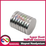 MAGNET NEODYMIUM NDFEB BULAT PERMANEN 12X2MM - Image 2