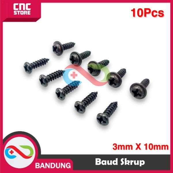 10PCS BAUT BAUD SEKRUP SKRUP 3MM X 10MM 3X10