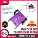 CHASSIS ALUMINUM ROBOT SMART CAR 2WD CHASSIS ROBOT PURPLE