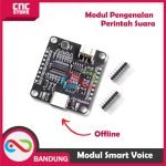 MODUL SMART VOICE RECOGNITION ASR-PRO DIY OFFLINE AI PENGENALAN PERINTA SUARA - Gambar 2
