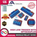 MODULE RELAY 12V HIGH LOW TRIGGER WITH OPTOCOUPLER -1 CHANNEL