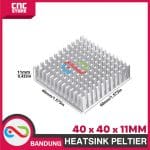 HEATSINK PELTIER 40X40X11mm TANPA PAD ALUMINIUM HEAT SINK PENDINGIN - Image 2