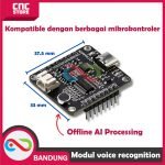 MODUL SMART VOICE RECOGNITION ASR-PRO DIY OFFLINE AI PENGENALAN PERINTA SUARA - Gambar 4
