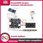 MODUL SMART VOICE RECOGNITION ASR-PRO DIY OFFLINE AI PENGENALAN PERINTA SUARA - Gambar 5