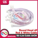 XH-2.54 4P DOUBLE-HEAD 4P RED AND WHITE CABLE 30CM - Image 3