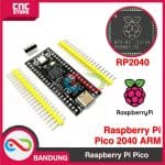 RASPBERRY PI PICO RP2040 RP 2040 ARM MICROCONTROLLER BOARD MICROPYTHON