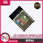 ESP32 ESP-32 ESP32S ESP-WROOM-32 WIFI 2.4GHZ BLUETOOTH CHIP IOT MODULE