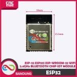 ESP32 ESP-32 ESP32S ESP-WROOM-32 WIFI 2.4GHZ BLUETOOTH CHIP IOT MODULE - Image 3