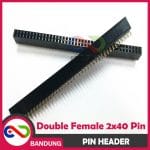 PIN HEADER STRIP FEMALE DOUBLE ROW 2X40 2.54MM BLACK HITAM - Image 2