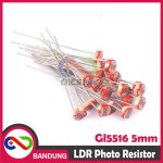 LDR GL5516 5MM PHOTORESISTOR PHOTO RESISTOR GL 5516 - Image 4