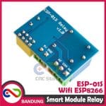 SMART MODULE RELAY WIFI ESP8266 ESP-01S PLUS SOCKET - Image 3