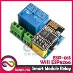 SMART MODULE RELAY WIFI ESP8266 ESP-01S PLUS SOCKET - Image 2
