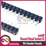 PIN HEADER FEMALE ROUND HEAD SOCKET IC SINGLE ROW 1X40 2.54MM - Image 4