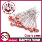 LDR GL5516 5MM PHOTORESISTOR PHOTO RESISTOR GL 5516