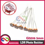 LDR GL5516 5MM PHOTORESISTOR PHOTO RESISTOR GL 5516 - Image 3
