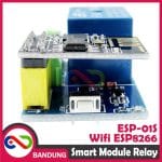 SMART MODULE RELAY WIFI ESP8266 ESP-01S PLUS SOCKET - Image 4