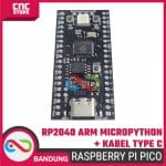Raspberry Pi Pico RP2040 ARM Microcontroller Board dengan MicroPython & Kabel Type-C - Image 5