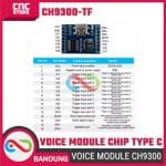 Modul Suara CH9300-TF Voice Module Chip Plug-in Type C – Untuk Koneksi Audio dan Proyek DIY - Image 3
