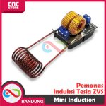 MINI INDUCTION HEATER 120W PEMANAS INDUKSI TESLA ZVS HEATING COIL COOK - Image 3