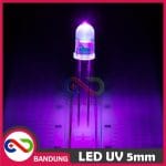 10PCS LED 5MM F5 UV ULTRA VIOLET ULTRAVIOLET UNGU SUPER BRIGHT CLEAR