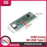 STM32F411CEU6 MicroPython STM32 F4 Core Development Board STM32F4 ARM 84Mhz USB C - Image 5