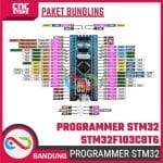 Paket Bundling Programmer STM32 STM32F103C8T6 + Kabel Mini USB untuk Proyek Arduino - Image 3