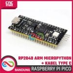 Raspberry Pi Pico RP2040 ARM Microcontroller Board dengan MicroPython & Kabel Type-C - Image 6