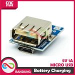5V BOOST BOARD LITHIUM BATTERY CHARGE PROTECTION BOARD MODULE - Image 3