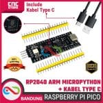 Raspberry Pi Pico RP2040 ARM Microcontroller Board dengan MicroPython & Kabel Type-C