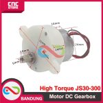 GearBox Motor DC Gear Box High Torque JS30-300 JS-30 Dinamo DC Motor Speed Reduction - Image 3