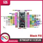 STM32F411CEU6 MicroPython STM32 F4 Core Development Board STM32F4 ARM 84Mhz USB C - Image 4