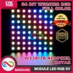 64 BIT WS2812B 5050 RGB LED DRIVER BOARD FULL COLOR 5V KOTAK