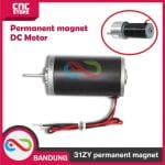31ZY permanent magnet DC motor micro high power motor speed -6000 RPM