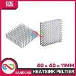 HEATSINK PELTIER 40X40X11mm TANPA PAD ALUMINIUM HEAT SINK PENDINGIN - Image 5