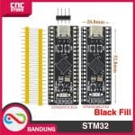 STM32F411CEU6 MicroPython STM32 F4 Core Development Board STM32F4 ARM 84Mhz USB C - Image 2