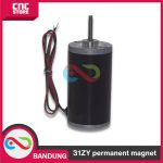 31ZY permanent magnet DC motor micro high power motor speed -6000 RPM - Image 3