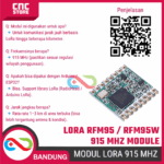 Lora Chip Module RFM95 / RFM95W 915 MHz – Modul LoRa Long Range untuk IoT - Gambar 6